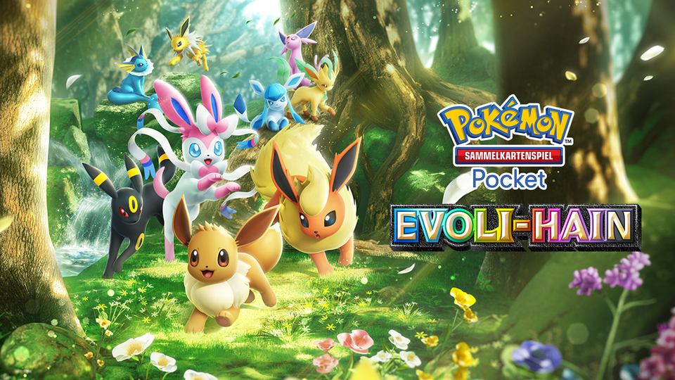 Pokémon-Sammelkartenspiel-Pocket